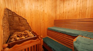 sauna1_1