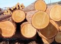 Основные эксплуатационные характеристики древесины