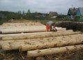 Как избавиться от опережающих трещин при обработке поверхности древесины